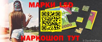 гашик Шелехов