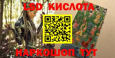 гашик Шелехов