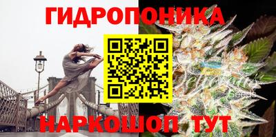 Альфа ПВП Янаул