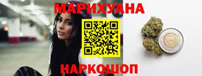 гашик Шелехов