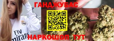 гашик Шелехов