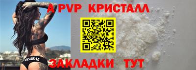 гашик Шелехов