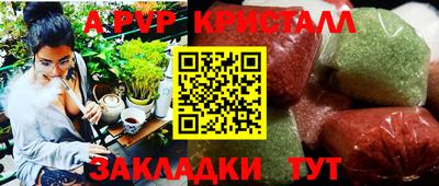 гашик Шелехов