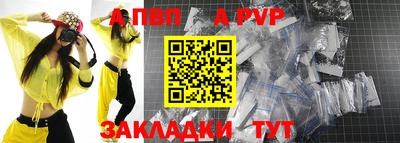 гашик Шелехов